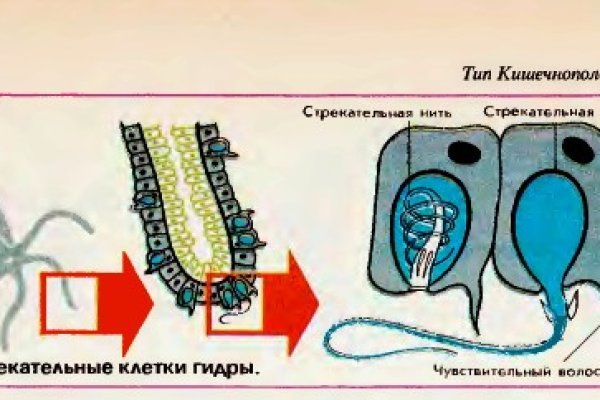 Кракен зеркало рабочее на сегодня