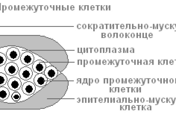 Кракен сайт ссылки актуальные