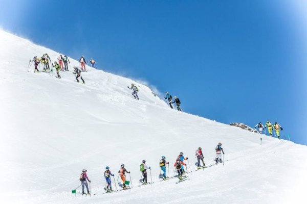 Кракен современный маркетплейс