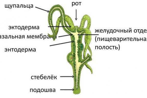 Кракен не заходит