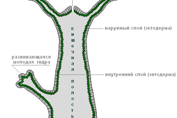 Кракен онион ссылка на тор