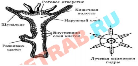 Кракен сайт сегодня