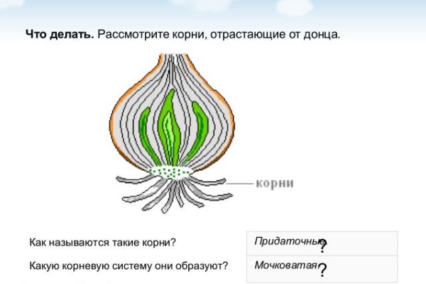 Кракен сайт нарк